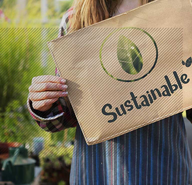 Biodegradable Disposable Food Packaging