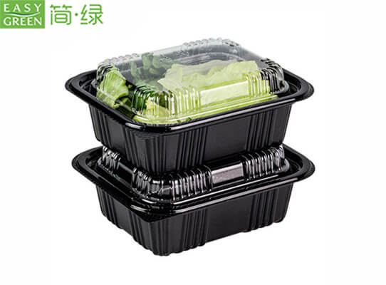salad containers with lids