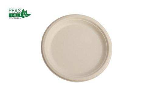 Disposable Food Plate