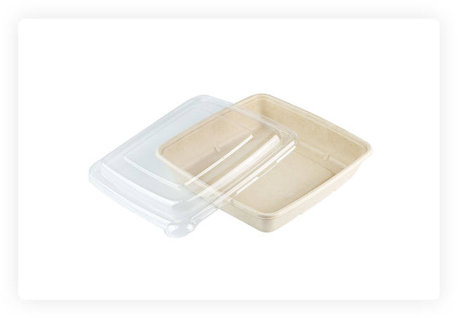 Biodegradable Food Containers With Lids
