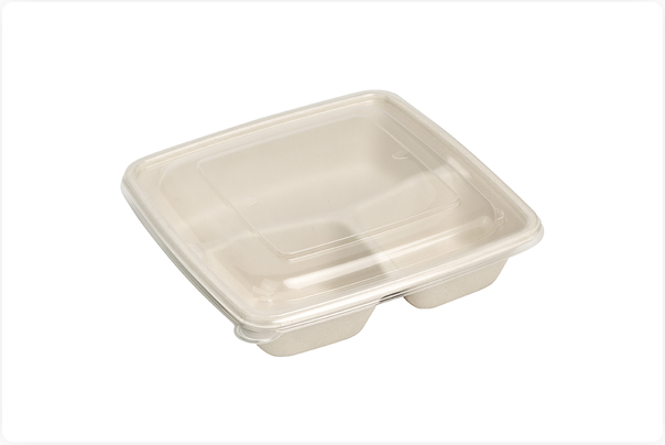 Different Types Of Bagasse Food Box