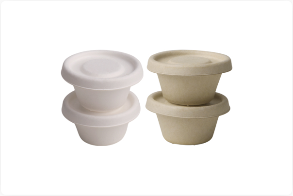 Types of Bagasse Cup & Lid