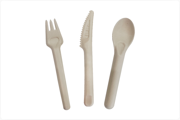 Different Types of Bagasse Cutlery