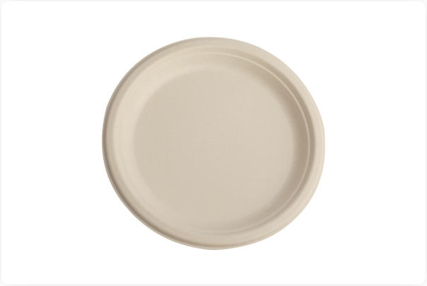Different Types of Bagasse Plate