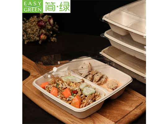 cs1000 2 bagasse food box 1