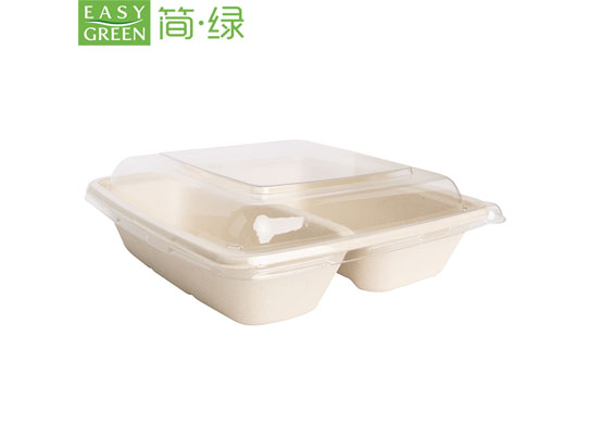 cs1000 2 bagasse food box 2