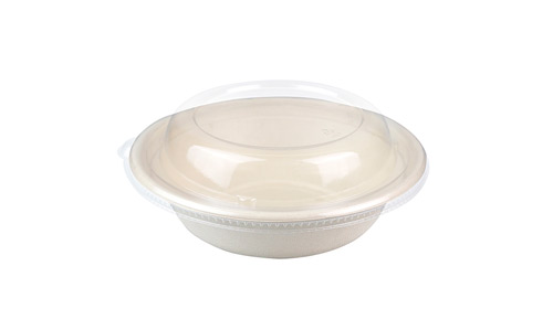 Biodegradable Food Bowl