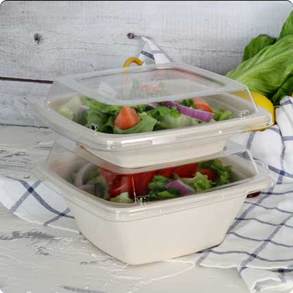 Biodegradable Food Bowl