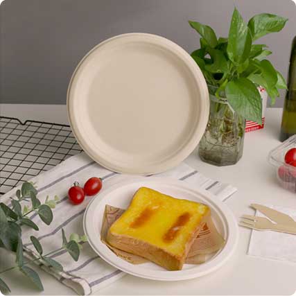 Disposable Food Plate