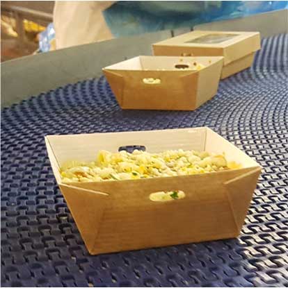 Biodegradable Food Packaging for Food Manufacturer