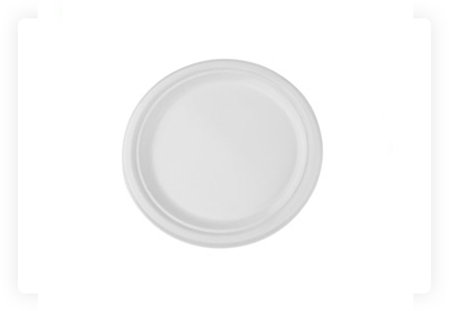 White Disposable Plates