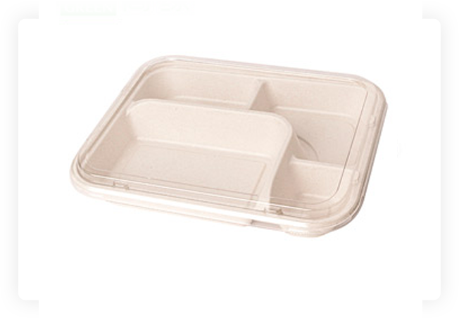 Disposable Food Trays with Compartments