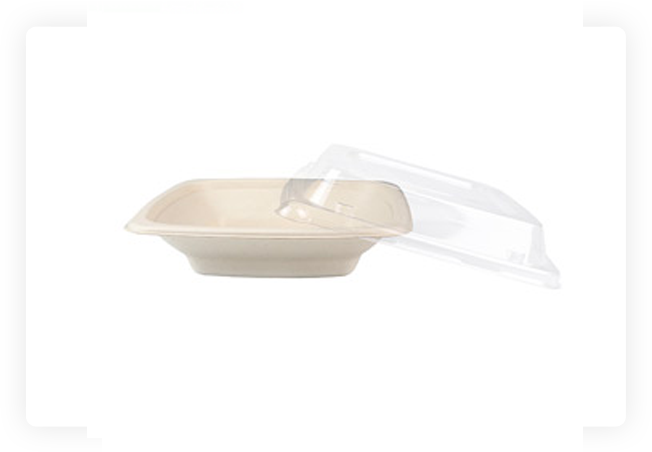 Biodegradable Square Bowl
