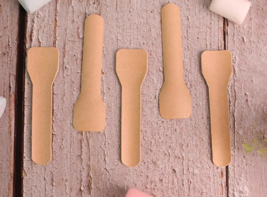earth friendly disposable cutlery