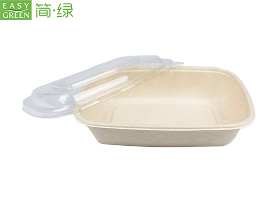 Disposable Lunch Box, Disposable Container With Lid, Food