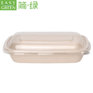 Disposable Plastic Food Container With Anti-Fog Lid - Easy Green