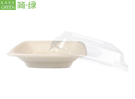 Wholesale 16oz Disposable Sugarcane Fresh Fruit Salad Container Bowl with  Lid