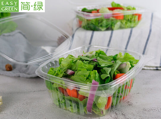 salad container for work