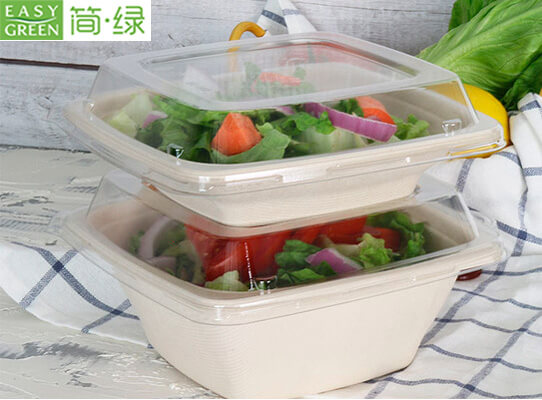 EG Series 16oz Disposable Sugarcane Fresh Fruit Salad Container Bowl with  Lid