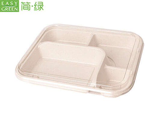 Wholesale Disposable Food Trays Suppliers/Manufacturers, Biodegradable  Lunch Trays Bulk