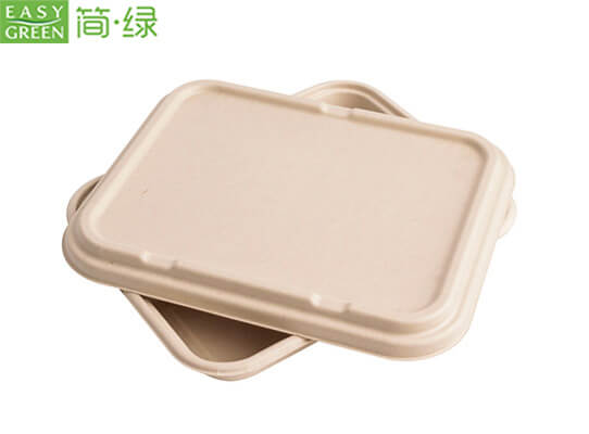 compartment serving tray with lid