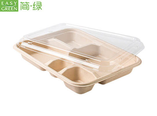 disposable compartment food trays with lids