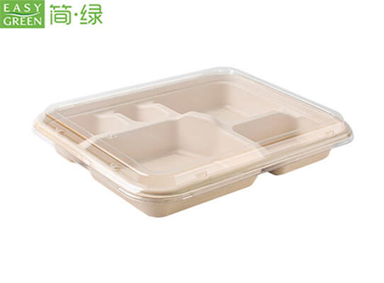 disposable food trays with compartments