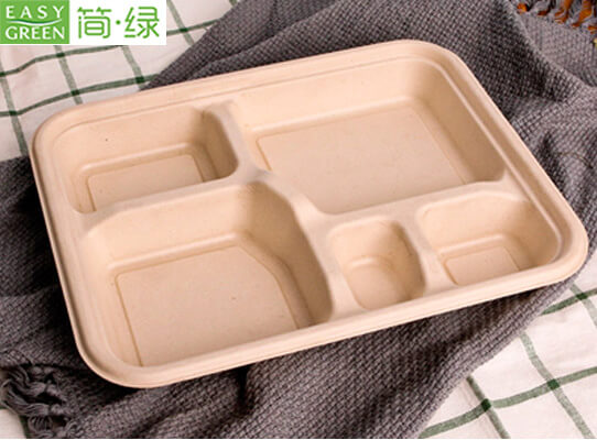 Eco-Friendly Disposable Catering Trays with Lids