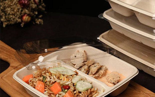 Importance of Biodegradable Food Packages in Restaurant