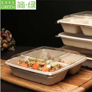 eco friendly food packaging market 2