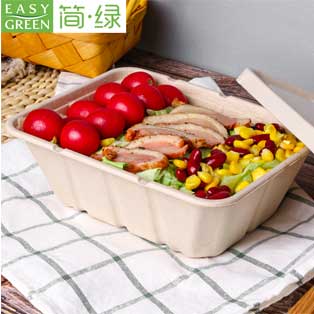 eco friendly food packaging market