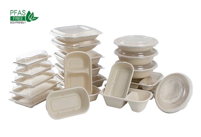 Bagasse Food Packaging