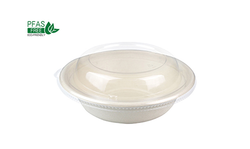 Biodegradable Food Bowl