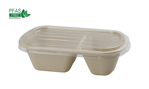 Biodegradable Food Container