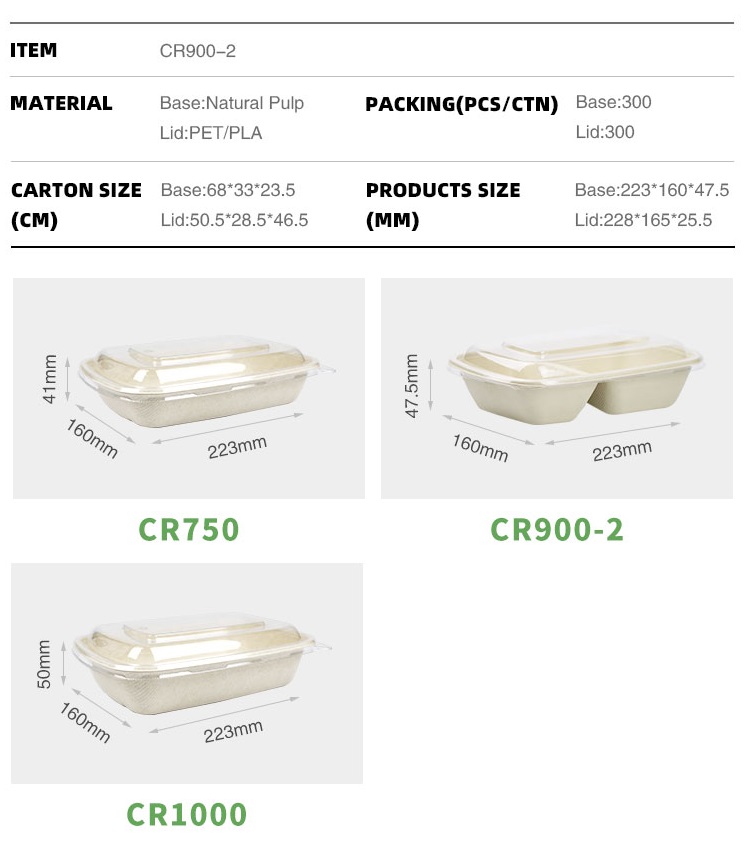 rectangular food plastic box takeaway food