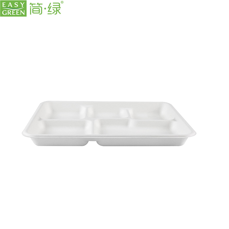 Disposable Plastic Food Container With Anti-Fog Lid - Easy Green