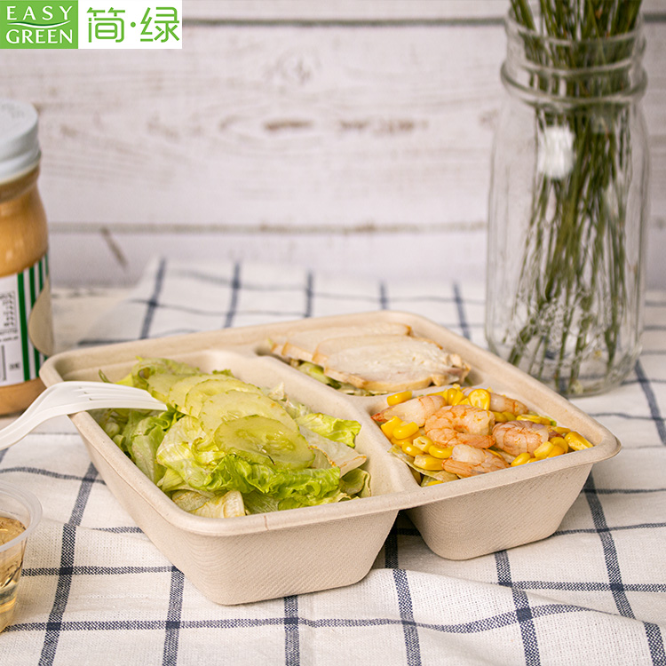 Eco-Friendly Biodegradable One Time Use Convenient Foodware Sugarcane Food  Box Hinged Lid Containers Bento Clamshell 3 Compartment Bento Disposable  Lunch Box - China Disposable Food Container and Food Packing Box price