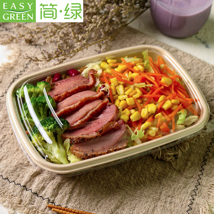 Biodegradable Bamboo Sugarcane Bagasse Container Bento Lunch Box Disposable