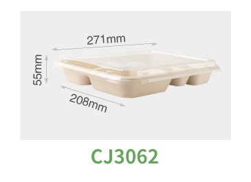Disposable_Lunch_Plate_Compartment_Tray_SPECIFICATIONS.jpg