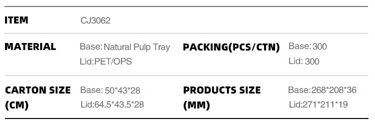 Disposable_Lunch_Plate_Compartment_Tray_Size.jpg