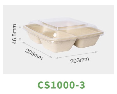 size_OF_Biodegradable_Bamboo_Sugarcane_Bagasse_Container.jpg