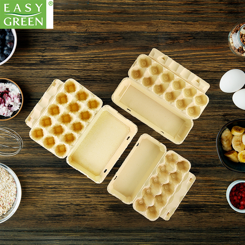 Biodegradable Disposable Egg Carton