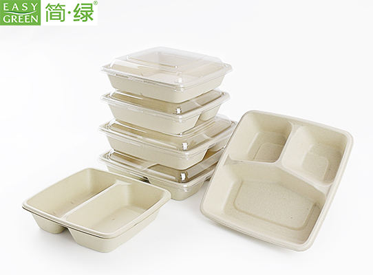 Disposable Compartment Containers