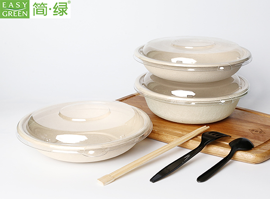 Disposable Salad Containers