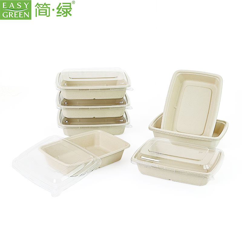 VB Series Compostable Take Out Food Containers with Lid